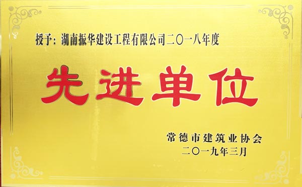 2019年振華先進單位